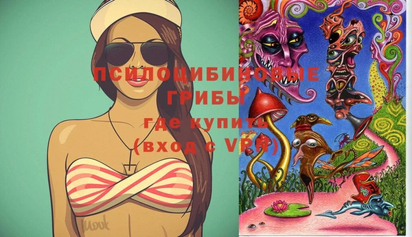 шишки Абинск