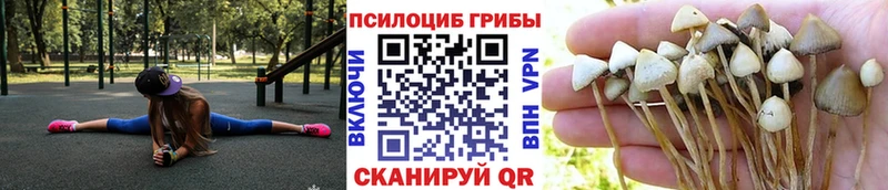 нарко площадка телеграм  Костомукша  Галлюциногенные грибы прущие грибы 